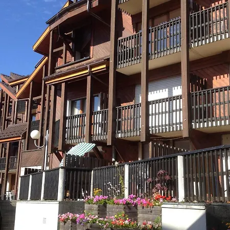D'arâches, 3 Pièces, 6 Personnes - Fr-1-572-52 Appartement Les Carroz d'Arâches